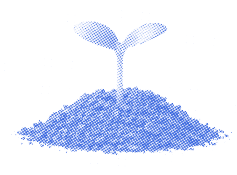 A seedling in a mound of soil